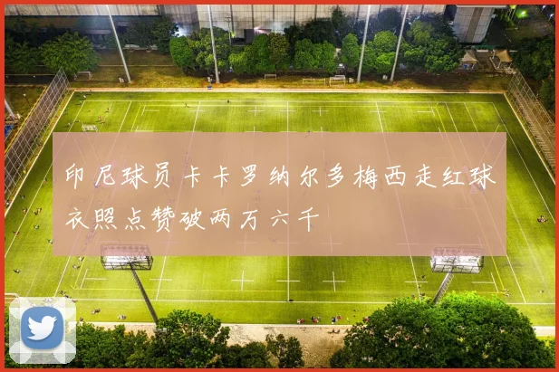 印尼球员卡卡罗纳尔多梅西走红球衣照点赞破两万六千